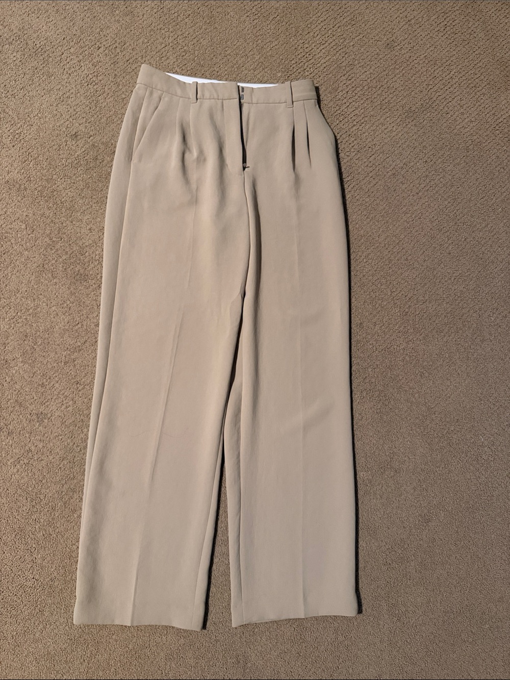 Aritzia Women's Pleated Wide-Leg Pants in Beige